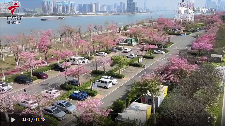 ������������������׸�����ͣ�������վ��ʽ����